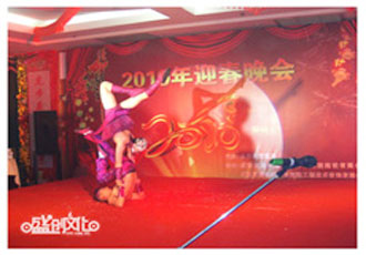     金堂縣某企業(yè)晚會